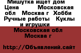 “Мишутка ищет дом“ › Цена ­ 800 - Московская обл., Москва г. Хобби. Ручные работы » Куклы и игрушки   . Московская обл.,Москва г.